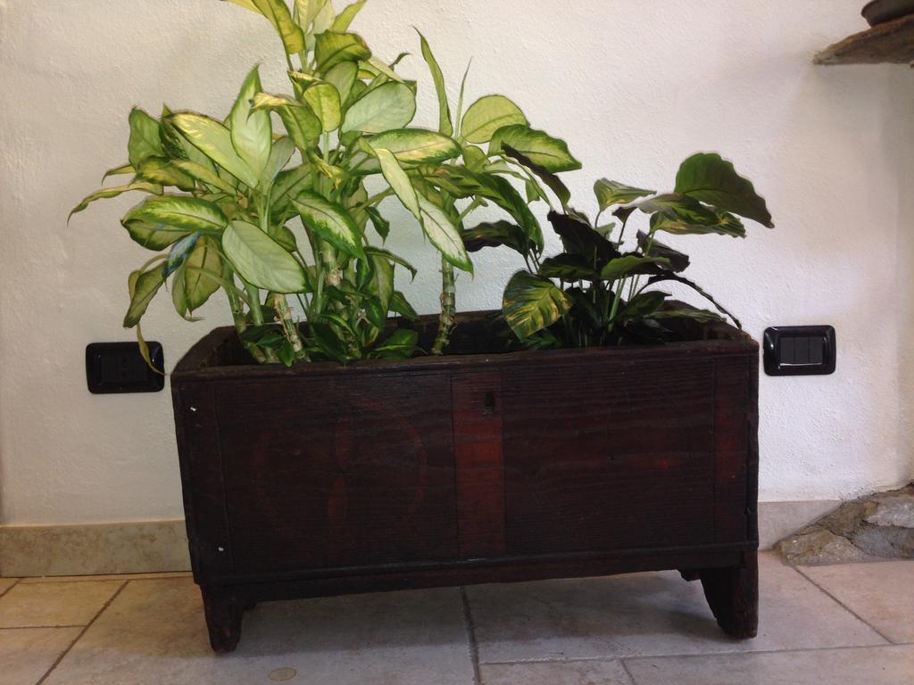 Maison Des Challant Challand Saint Victor Ngoại thất bức ảnh